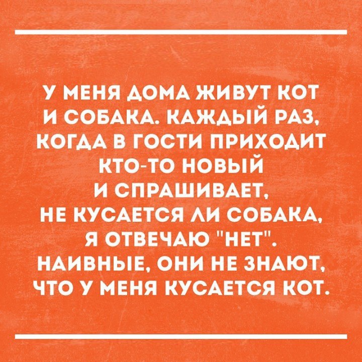  - 21  2017  13:08