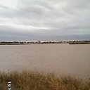 ���� �����, �����, 61 ��� - ��������� 17 ������� 2016 � ������ ���� ����������