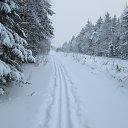 ���� �������, �����, 36 ��� - ��������� 18 ������� 2016 � ������ ���� ����������