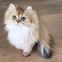 ���� Natali, ����� - ��������� 17 ������� 2016 � ������ ������