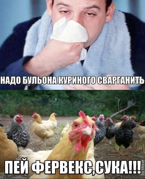   - 20  2017  14:42