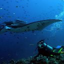 ���� ������, ������ - ��������� 23 ������� 2016 � ������ ����� ��� �������