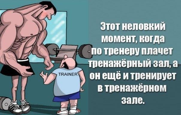 SportFeed - 22  2016  05:11