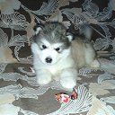 ���� ������, ��������, 64 ���� - ��������� 6 ������� 2016 � ������ ���� ����������