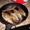 ���� ���������, ������ - ��������� 7 ������� 2016 � ������ ������ �� �������, �������.�