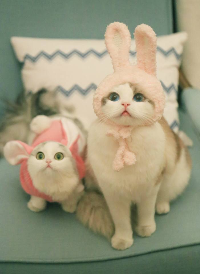    :3 - 2