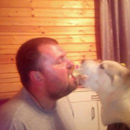 ���� ������, ��������, 46 ��� - ��������� 15 ����� 2017