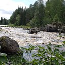 �. �����, ����� "�����", ������ �����. �� ������� �2016�. ���-��������� �������.�