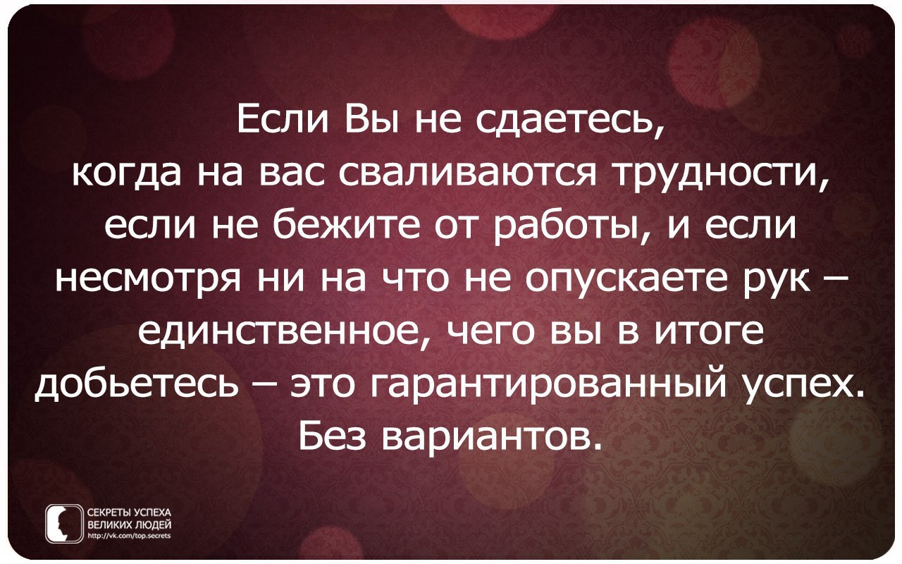     - 11  2017  16:41