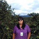  , , 40  -  2  2016    2016