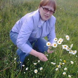 �������, ����������, 78 ���