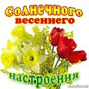 ���� �������� ( �� �������� ��), ��� - ��������� 14 ����� 2017 � ������ ������ ��������
