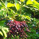 ���� ������, �����������, 40 ��� - ��������� 12 �������� 2016 � ������ ���� ����������