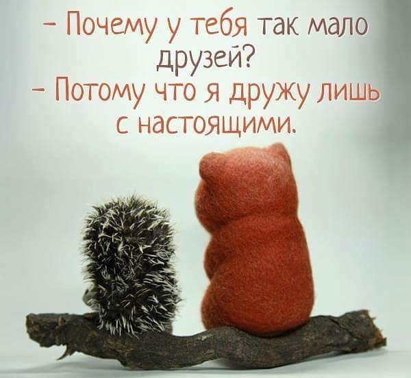 .......