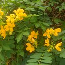 ���� ����, ����� - ��������� 13 ������� 2017 � ������ ���� ����������