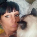 ���� ������, ����������, 49 ��� - ��������� 27 ������ 2017 � ������ ���� ����������