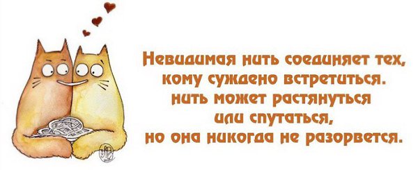 ������� ���� ������������� ����. ����� �� ���� ��������, ������� ����������� ������� � ������, ... - 46