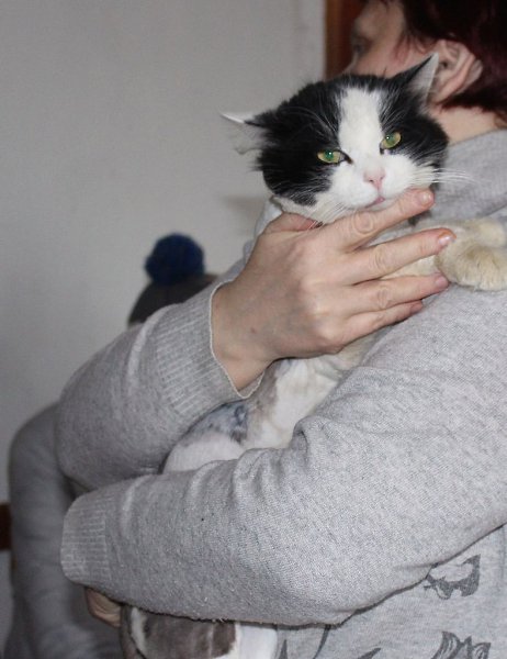 #котизм_доброта #москва@catism #МО@catism.Москва и МО (возможна доставка)Хозяева оставили его еще ... - 3