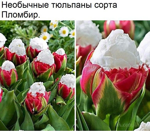  - 18  2017  14:07