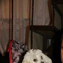 ���� �����, �����, 62 ���� - ��������� 3 ������� 2016 � ������ ������ ��������