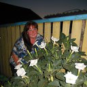 ���� ������, ���, 48 ��� - ��������� 22 ������� 2016