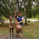 ���� �����, �����������, 50 ��� - ��������� 25 �������� 2016