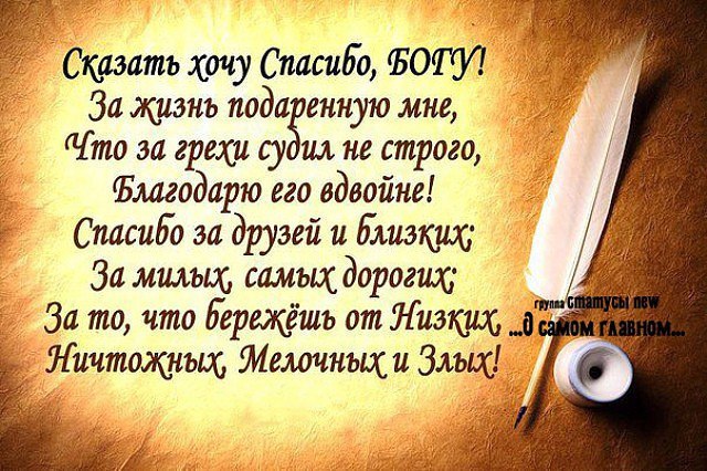 счастья есть....... - 6 февраля 2017 в 12:56