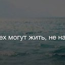 ���� ����, ������, 38 ��� - ��������� 14 ������ 2017 � ������ ������ ��������