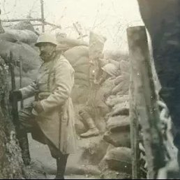 Den, �����