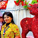  ,  -  7  2016                 λ