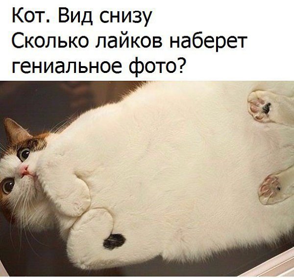  - 5  2016  02:03