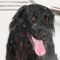 ���� ������ �������, ������ - ��������� 3 ������� 2016