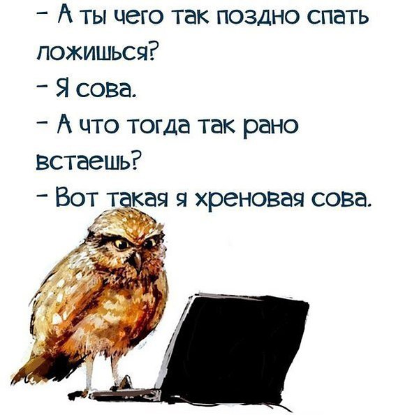 ����� ���������� - 7 ������ 2017 � 11:51