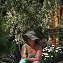   , -, 63  -  14  2016    2016.. .