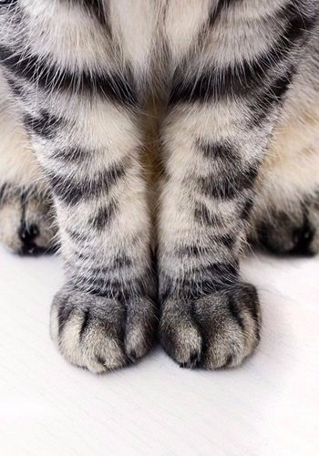 ���� �������� - 2