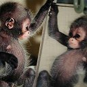 ���� ������, ������ - ��������� 5 ������� 2016 � ������ ������