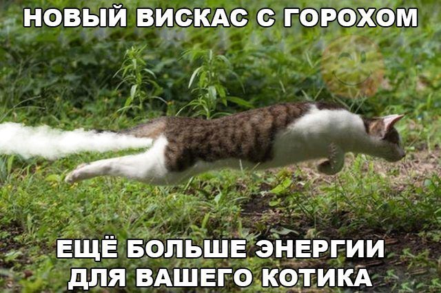    :D - 13  2016  02:31