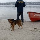 ���� ���������, ��������� - ��������� 24 ������ 2017 � ������ ������ ��������