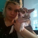 ���� ��������, ������������� - ��������� 18 ����� 2017 � ������ ������ 2016-2017�