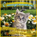 ���� �������, ������ - ��������� 27 ������� 2017 � ������ �������� ��������