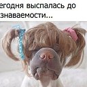 ���� �����, �����-���������, 52 ���� - ��������� 7 ������� 2016 � ������ ������ ��������