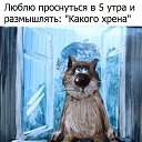 ,  -  13  2016    
