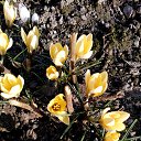 ���� �������, ������, 58 ��� - ��������� 14 ����� 2017 � ������ ���������� �����