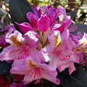 22.05.2016 �� ������� �������� ������������ ���.�