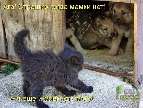 ��� � ������ - 2 ������� 2016 � 01:13