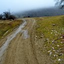  ,  -  15  2017              70     ӻ