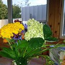 ���� ���������, ������ - ��������� 25 �������� 2016 � ������ ���������� ������