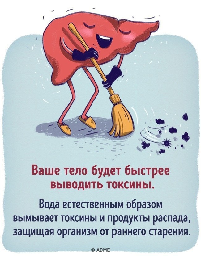  ,      - 5