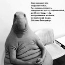 ���� ��������� �, �����-���������, 26 ��� - ��������� 1 ������� 2017 � ������ ���� ����������