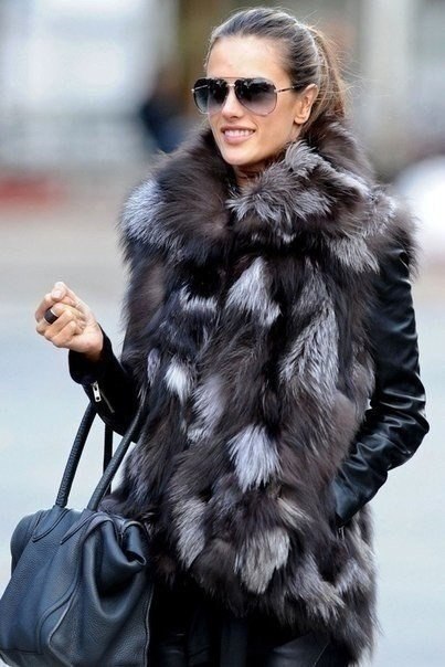  |  2016 |  |  |  - 21  2017  16:17 - 5